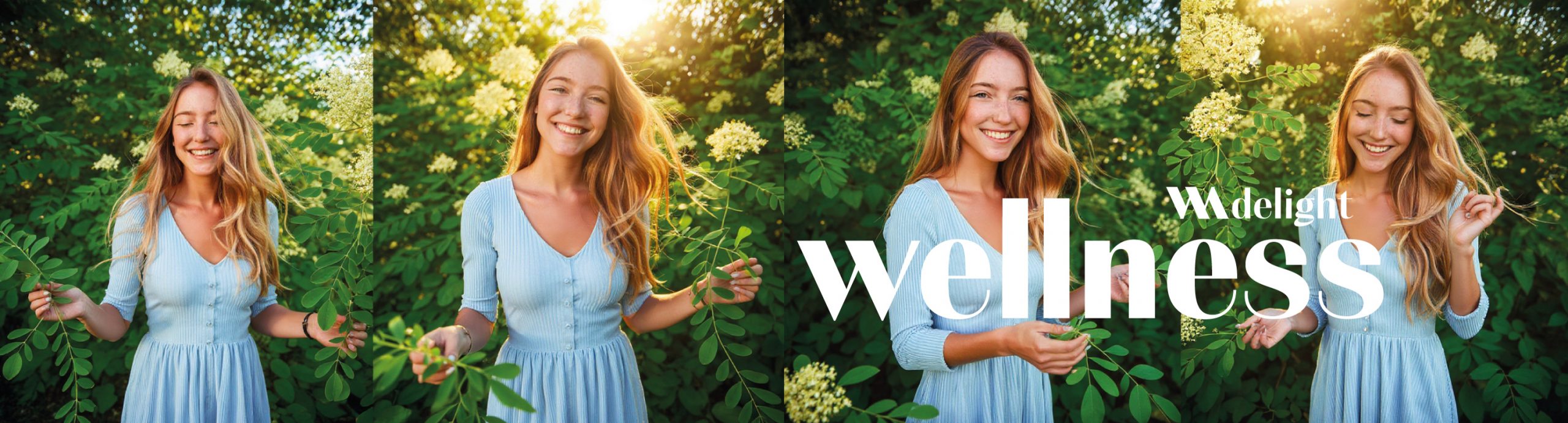 bannerWellness